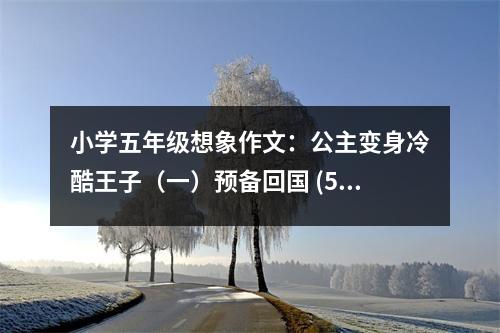 小學(xué)五年級想象作文：公主變身冷酷王子（一）預(yù)備回國 (550字)