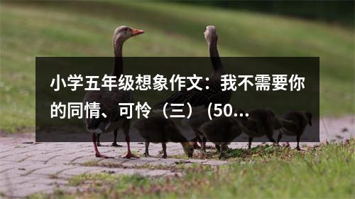 小學五年級想象作文：我不需要你的同情、可憐（三） (500字)