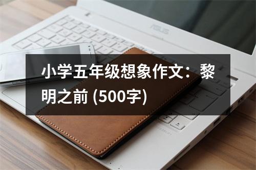 小學(xué)五年級想象作文：黎明之前 (500字)