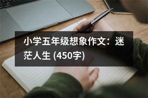 小學(xué)五年級(jí)想象作文：迷茫人生 (450字)