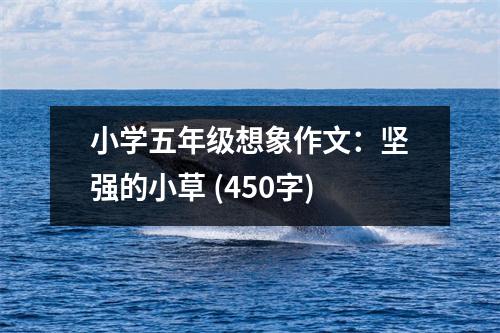 小學(xué)五年級想象作文：堅(jiān)強(qiáng)的小草 (450字)