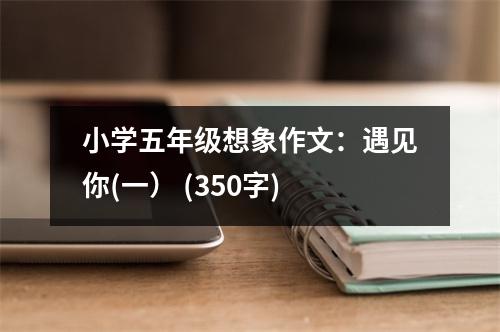 小學(xué)五年級(jí)想象作文：遇見你(一） (350字)