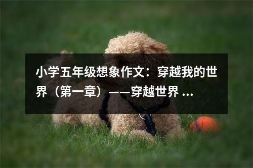 小學(xué)五年級想象作文：穿越我的世界（第一章）——穿越世界 (550字)