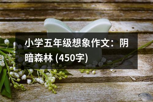 小學(xué)五年級想象作文：陰暗森林 (450字)