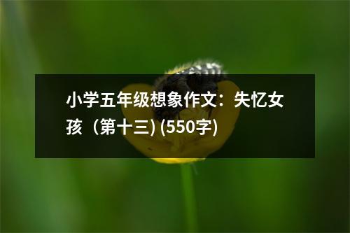小學(xué)五年級想象作文：失憶女孩（第十三) (550字)
