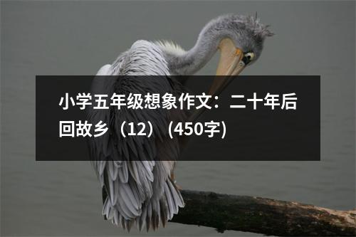 小學(xué)五年級(jí)想象作文：二十年后回故鄉(xiāng)（12） (450字)