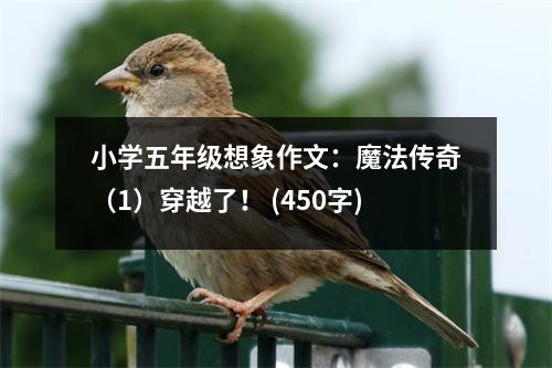 小學(xué)五年級想象作文：魔法傳奇（1）穿越了！ (450字)