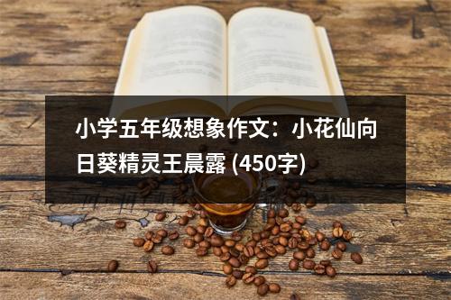 小學(xué)五年級(jí)想象作文：小花仙向日葵精靈王晨露 (450字)