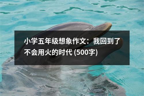 小學(xué)五年級(jí)想象作文：我回到了不會(huì)用火的時(shí)代 (500字)