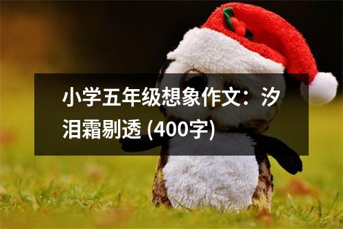 小學(xué)五年級想象作文：汐淚霜剔透 (400字)