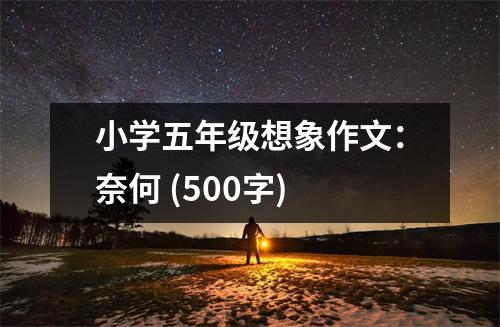 小學(xué)五年級(jí)想象作文：奈何 (500字)