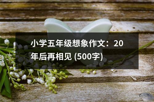 小學五年級想象作文：20年后再相見 (500字)