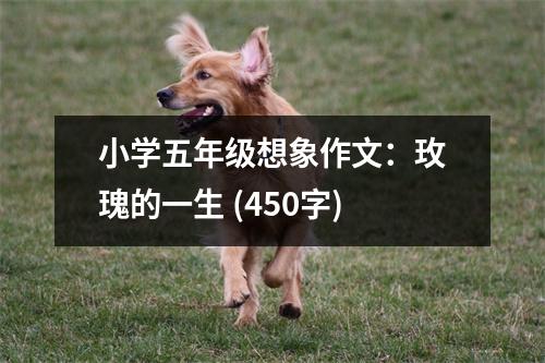 小學五年級想象作文：玫瑰的一生 (450字)