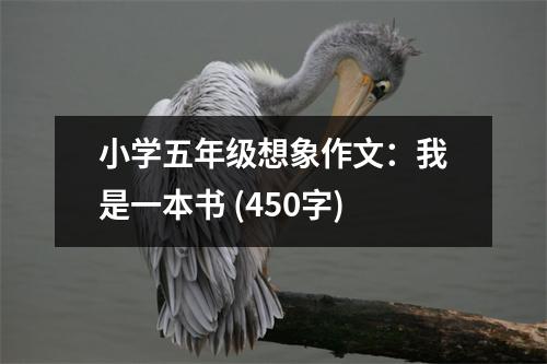 小學(xué)五年級(jí)想象作文：我是一本書(shū) (450字)