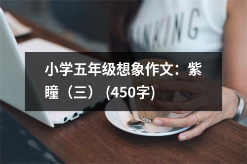 小學(xué)五年級想象作文：紫瞳（三） (450字)