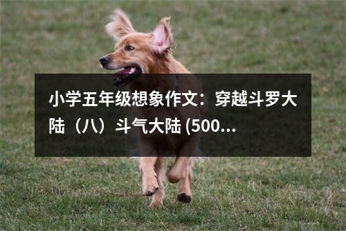 小學五年級想象作文：穿越斗羅大陸（八）斗氣大陸 (500字)