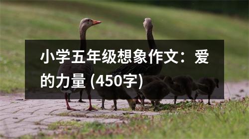 小學(xué)五年級(jí)想象作文：愛的力量 (450字)