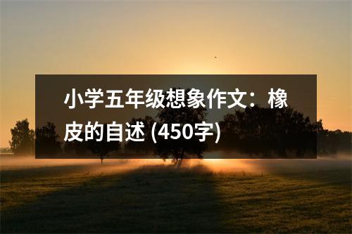 小學(xué)五年級(jí)想象作文：橡皮的自述 (450字)