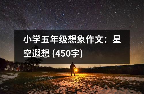 小學(xué)五年級想象作文：星空遐想 (450字)