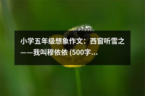小學五年級想象作文：西窗聽雪之——我叫穆依依 (500字)