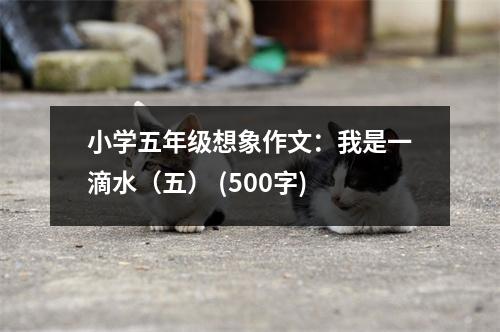 小學(xué)五年級(jí)想象作文：我是一滴水（五） (500字)