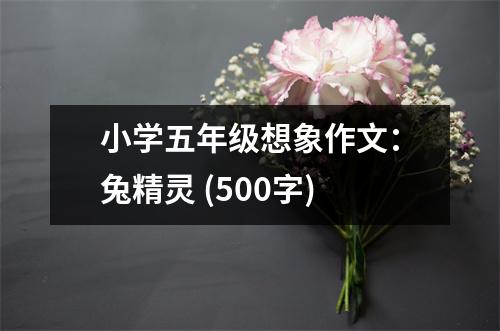 小學(xué)五年級(jí)想象作文：兔精靈 (500字)