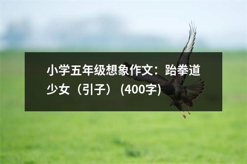 小學(xué)五年級(jí)想象作文：跆拳道少女（引子） (400字)