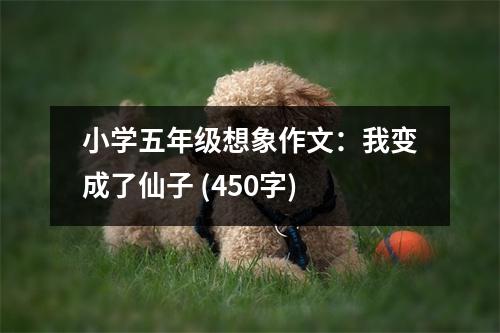 小學(xué)五年級(jí)想象作文：我變成了仙子 (450字)