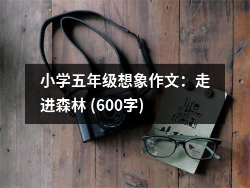 小學(xué)五年級想象作文：走進森林 (600字)