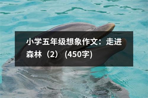 小學(xué)五年級(jí)想象作文：走進(jìn)森林（2） (450字)