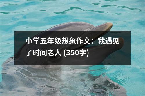 小學(xué)五年級(jí)想象作文：我遇見(jiàn)了時(shí)間老人 (350字)