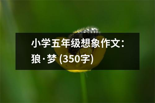 小學五年級想象作文：狼·夢 (350字)