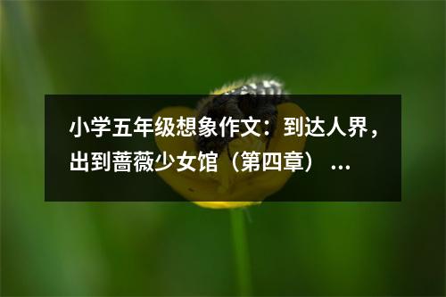 小學五年級想象作文：到達人界，出到薔薇少女館（第四章） (500字)