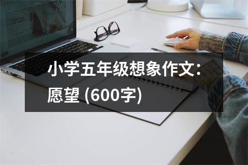 小學(xué)五年級想象作文：愿望 (600字)