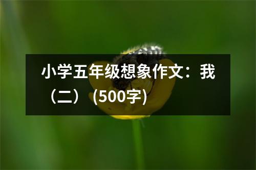 小學(xué)五年級想象作文：我（二） (500字)