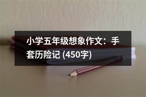 小學五年級想象作文：手套歷險記 (450字)