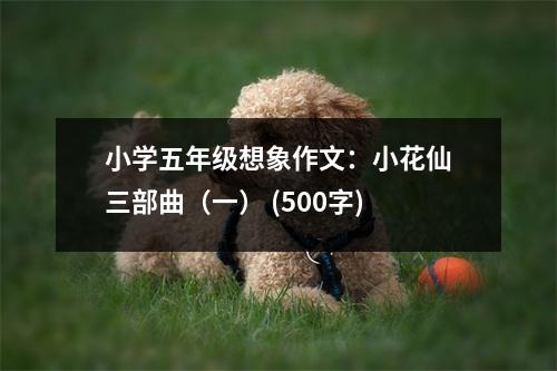 小學五年級想象作文：小花仙三部曲（一） (500字)