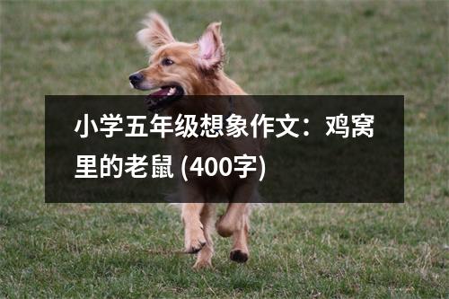 小學(xué)五年級想象作文：雞窩里的老鼠 (400字)