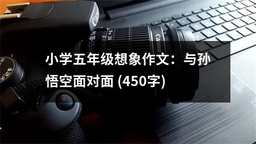 小學(xué)五年級(jí)想象作文：與孫悟空面對(duì)面 (450字)