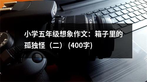 小學(xué)五年級想象作文：箱子里的孤獨怪（二） (400字)