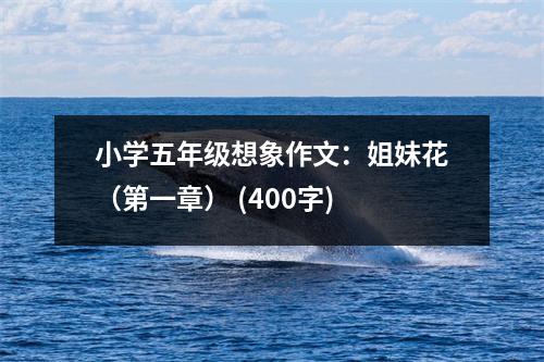 小學(xué)五年級想象作文：姐妹花（第一章） (400字)
