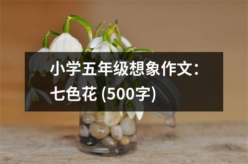 小學(xué)五年級想象作文：七色花 (500字)