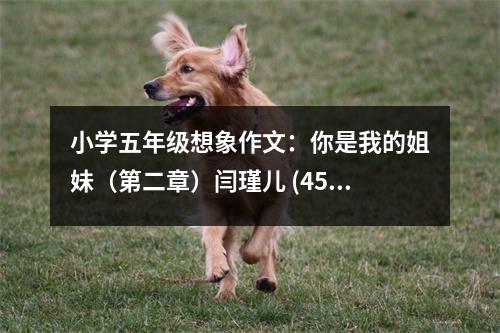 小學(xué)五年級(jí)想象作文：你是我的姐妹（第二章）閆瑾兒 (450字)
