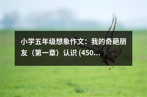 小學(xué)五年級想象作文：我的奇葩朋友（第一章）認(rèn)識 (450字)
