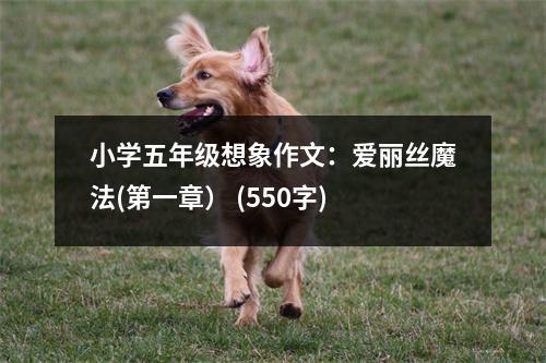小學五年級想象作文：愛麗絲魔法(第一章） (550字)