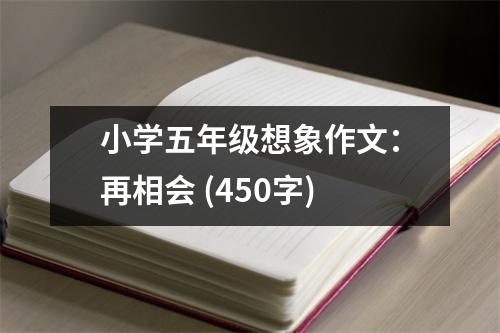 小學(xué)五年級想象作文：再相會 (450字)