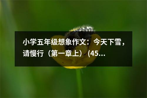 小學(xué)五年級想象作文：今天下雪，請慢行（第一章上） (450字)