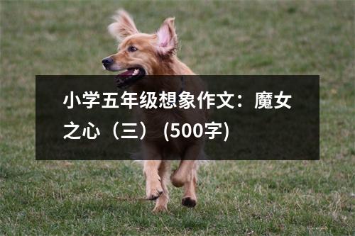 小學(xué)五年級想象作文：魔女之心（三） (500字)