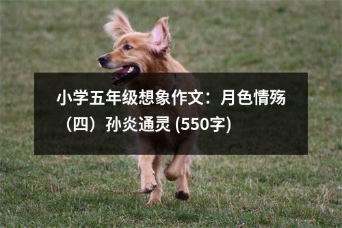 小學(xué)五年級(jí)想象作文：月色情殤（四）孫炎通靈 (550字)
