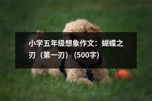 小學(xué)五年級(jí)想象作文：蝴蝶之刃（第一刃） (500字)